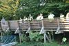 gal/Ville_Propre/_thb_OPERATION DECHETS LAMBRES 119.JPG